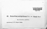 Image Associated With the Occurence